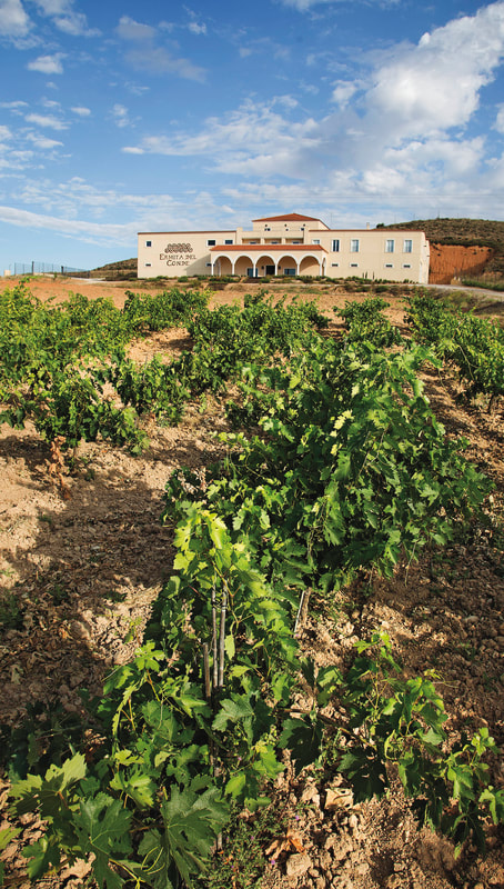 Weinreise, Reise-Erinnerung, Spanien, Ribera del Duero, Kastilien Léon