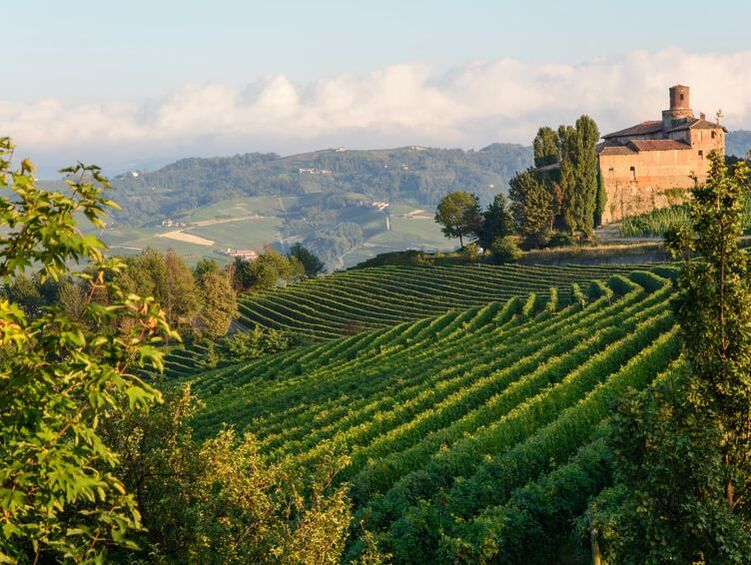 Weinreise, Italien, Piemont